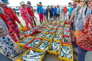 best fish market in Karachi