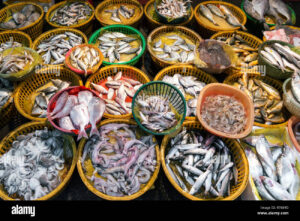 Best Fish Market in Karachi